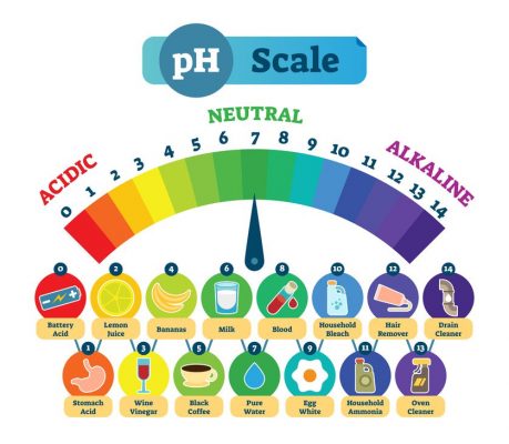 ph scale ph dereceleri