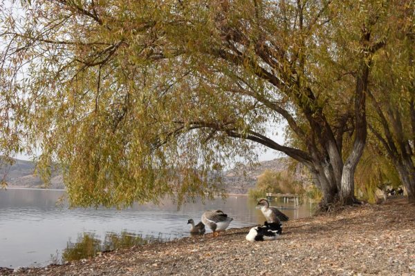 göller şehir gölbaşı adıyaman