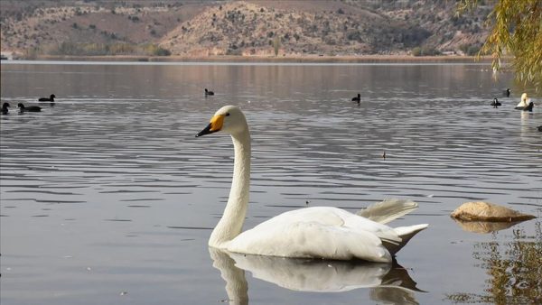 gölbaşı milli parkı kugular