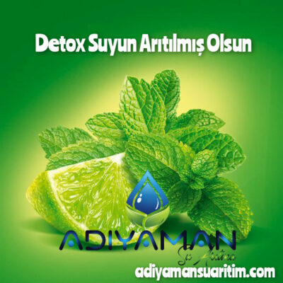 Arıtılmış Suyunuz Detox Olsun